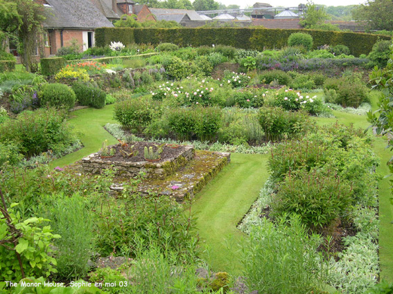 le jardin de roses