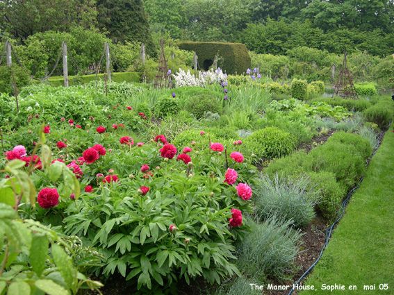 le potager