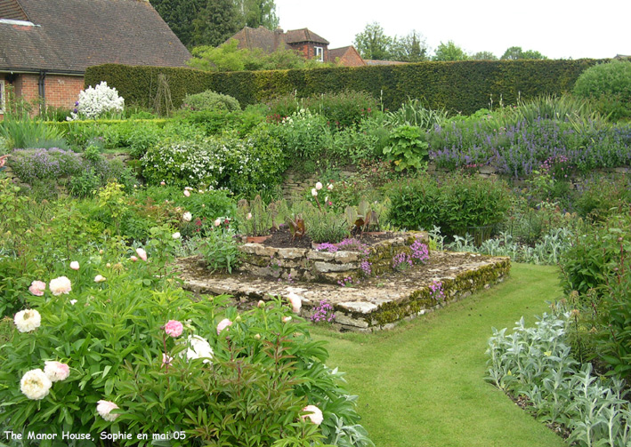 Manor House: les roses