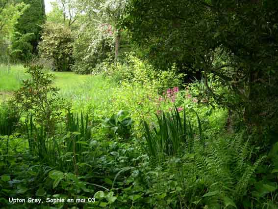 Manor House: coin sauvage