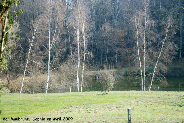 Val Maubrune: l'étang