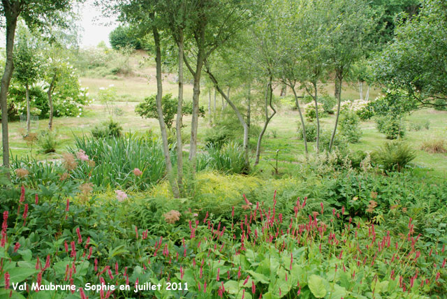 Val Maubrune: la couleur