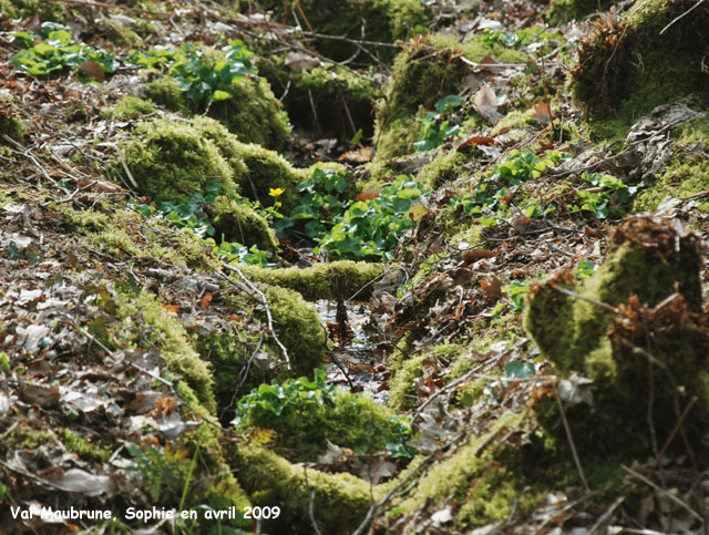 Val Maubrune: un ruisseau