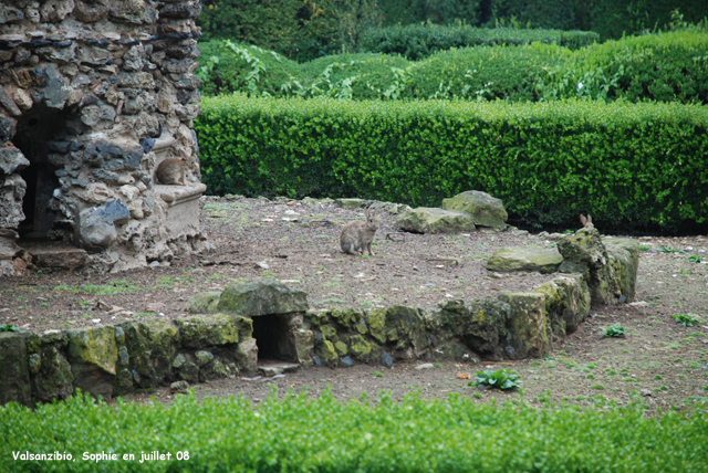 Valsanzibio: les lapins