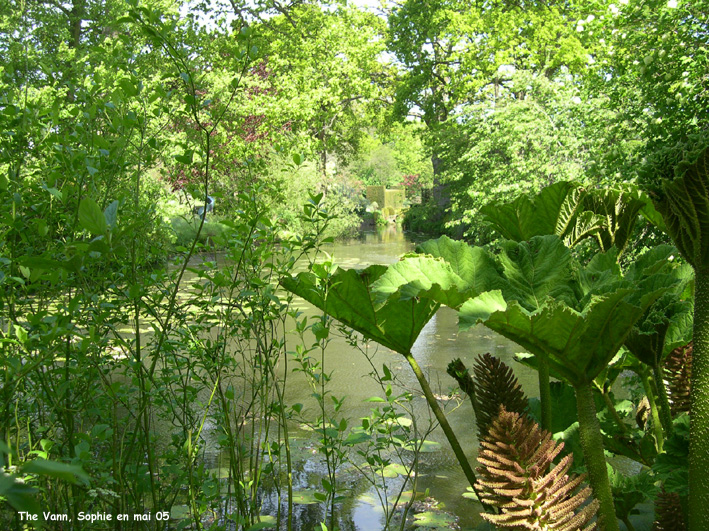 Vann: jardin d'eau