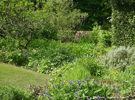 Valsanzibio: le vieux jardin