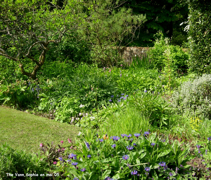 Le vieux jardin &agrave; The Vann