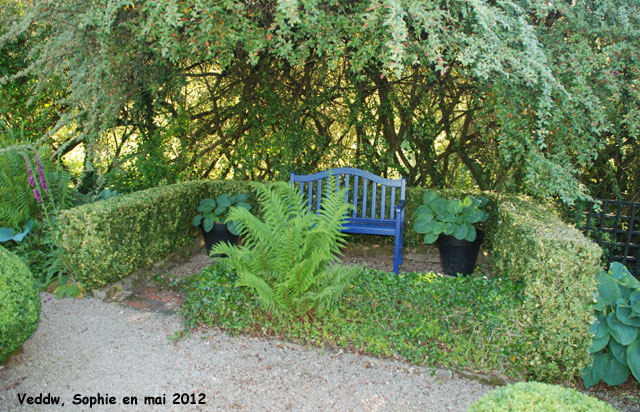 Veddw: un banc bleu