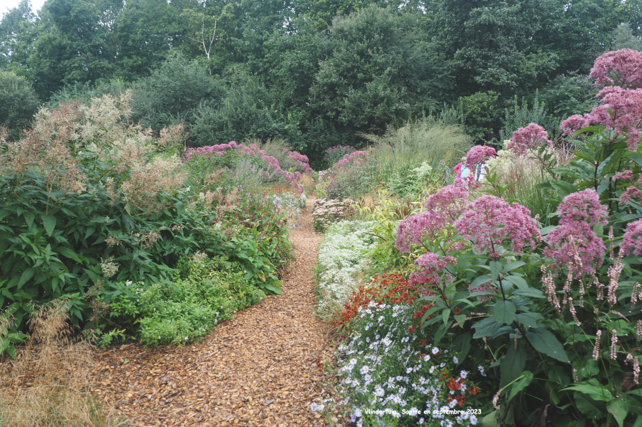 Haies à l'entrée Vlindertuin
