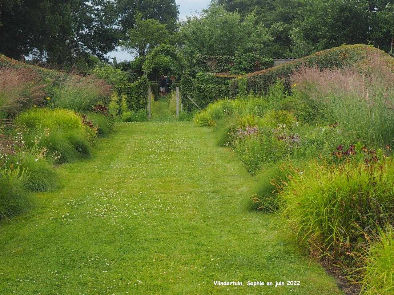 Vlindertuin: mixed-borders juin 