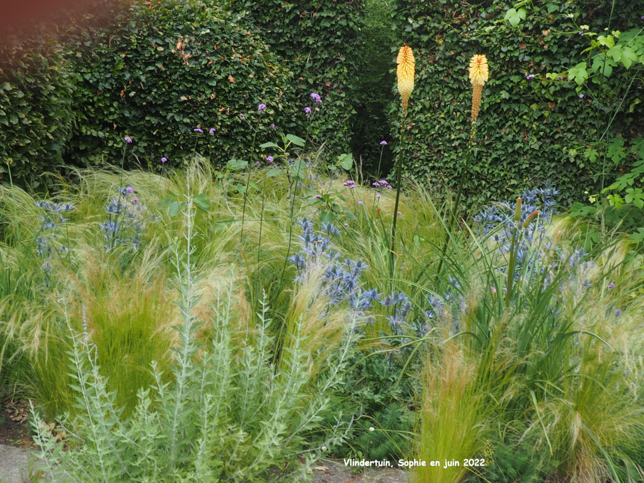 Jardin sec à Vlindertuin