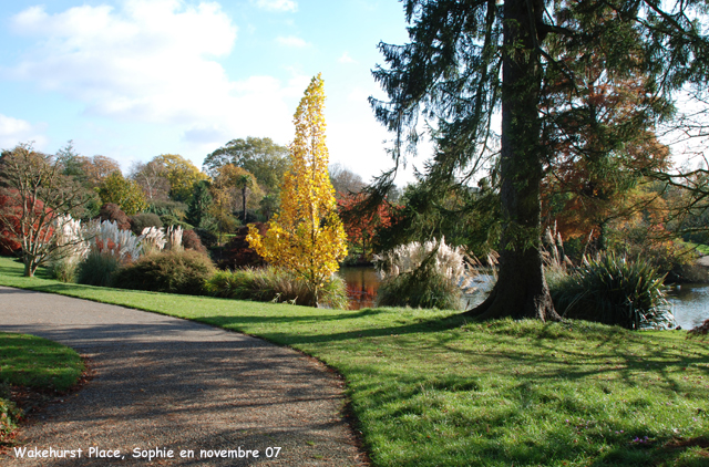 Wakehurst: l'étang