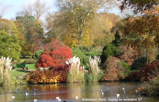 Wakehurst: l'étang