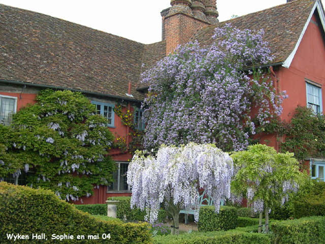 Wyken hall: les aromatiques