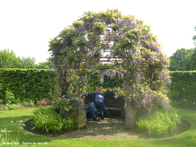 Wyken hall: les glycines