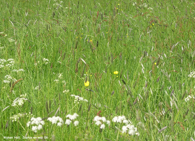 Wyken hall: la prairie