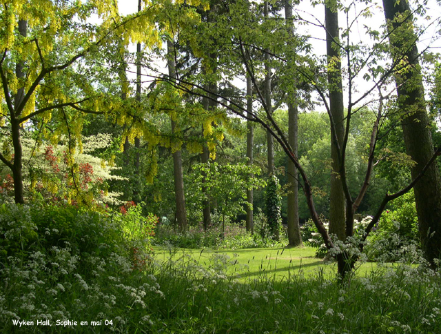 Wyken hall: le sous-bois