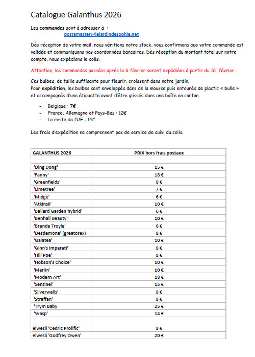 Galanthus 'Ding Dong'
