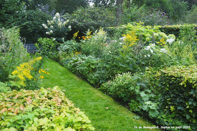 massif blanc et jaune à Boomgaard