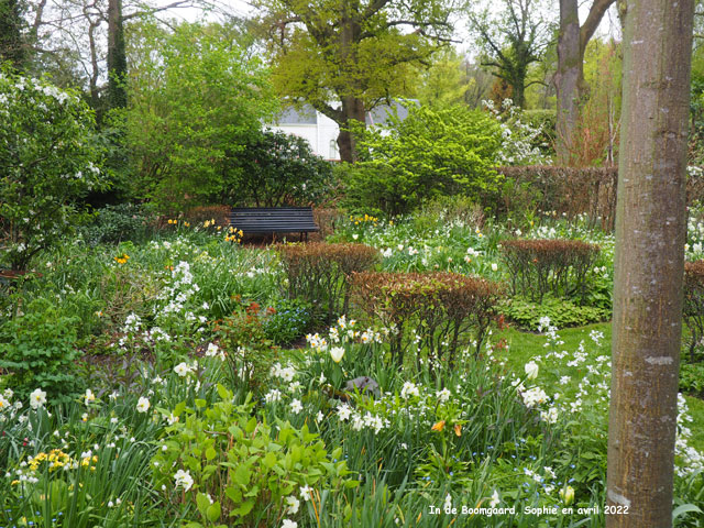 L'entrée à Boomgaard