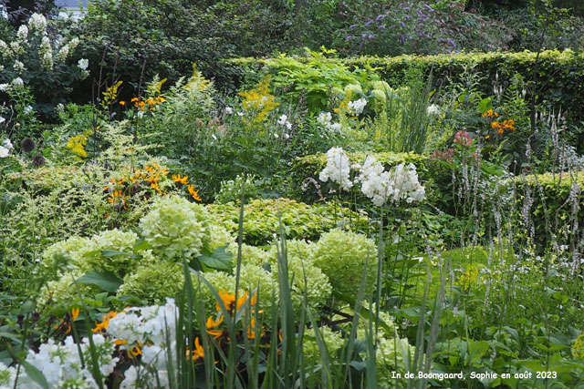 Boomgaard: l'entrée en été