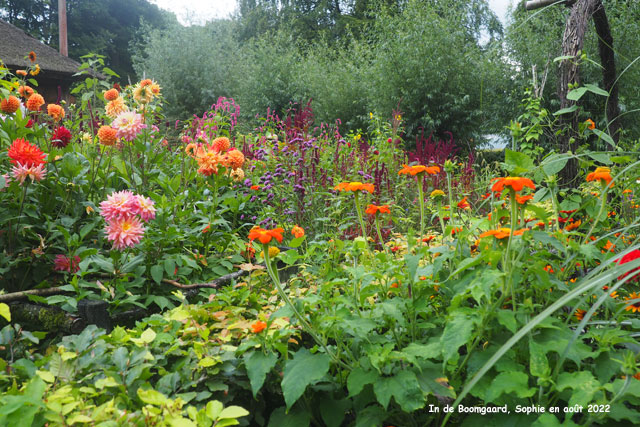 ruisseau à Bonhyton