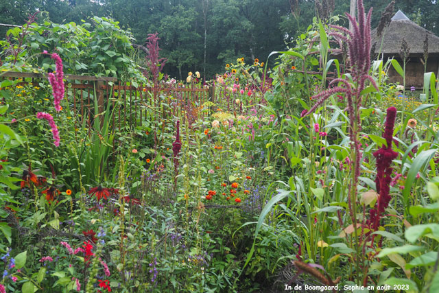 Boomgard: couleurs d'été