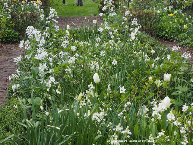Boomgaard: détail des plantations à l'entrée