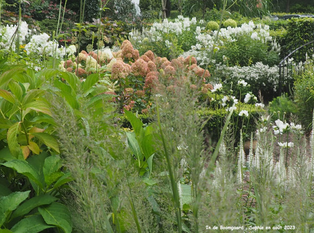 Boomgaard: fleurs d'été dans l'entrée