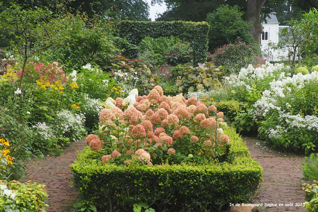 Boomgaard: l'entrée en été