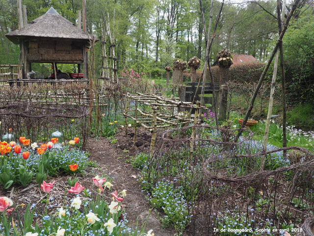 Boomgaard: le jardin des annuelles