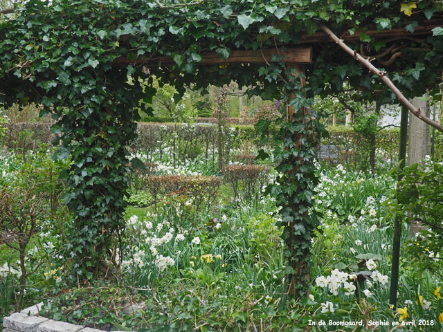 Vue depuis la terrasse Sud à Boomgaard