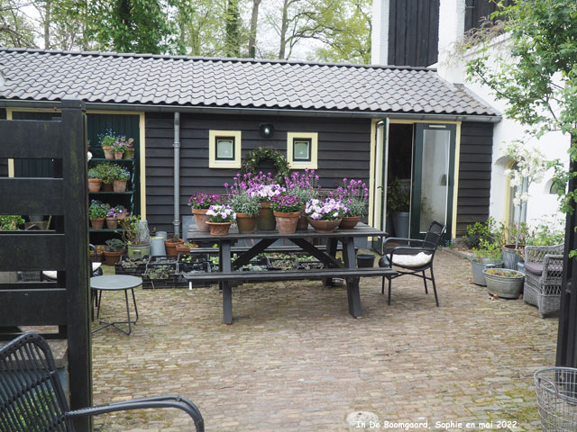 Boomgaard: terrasse nord