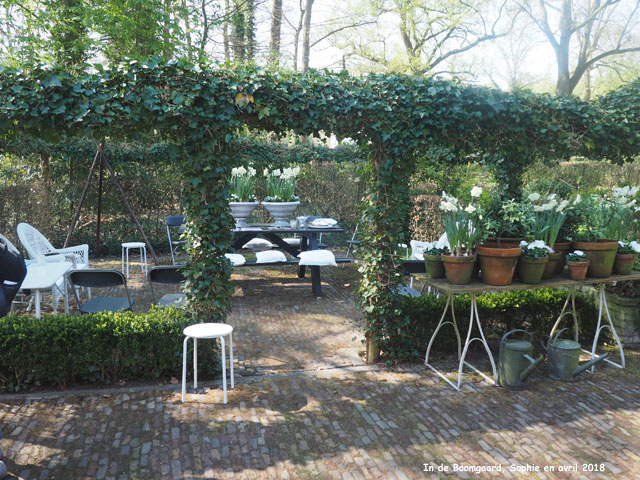 la terrasse Sud à Boomgaard