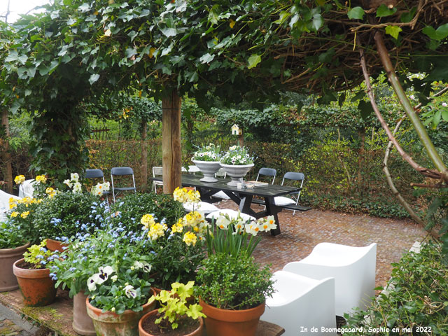 Pots fleuris à Boomgaard