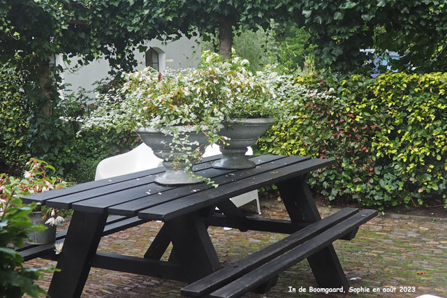 potées blanches à Boomgaard