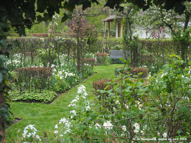 Boomgaard: le jardin pourpre