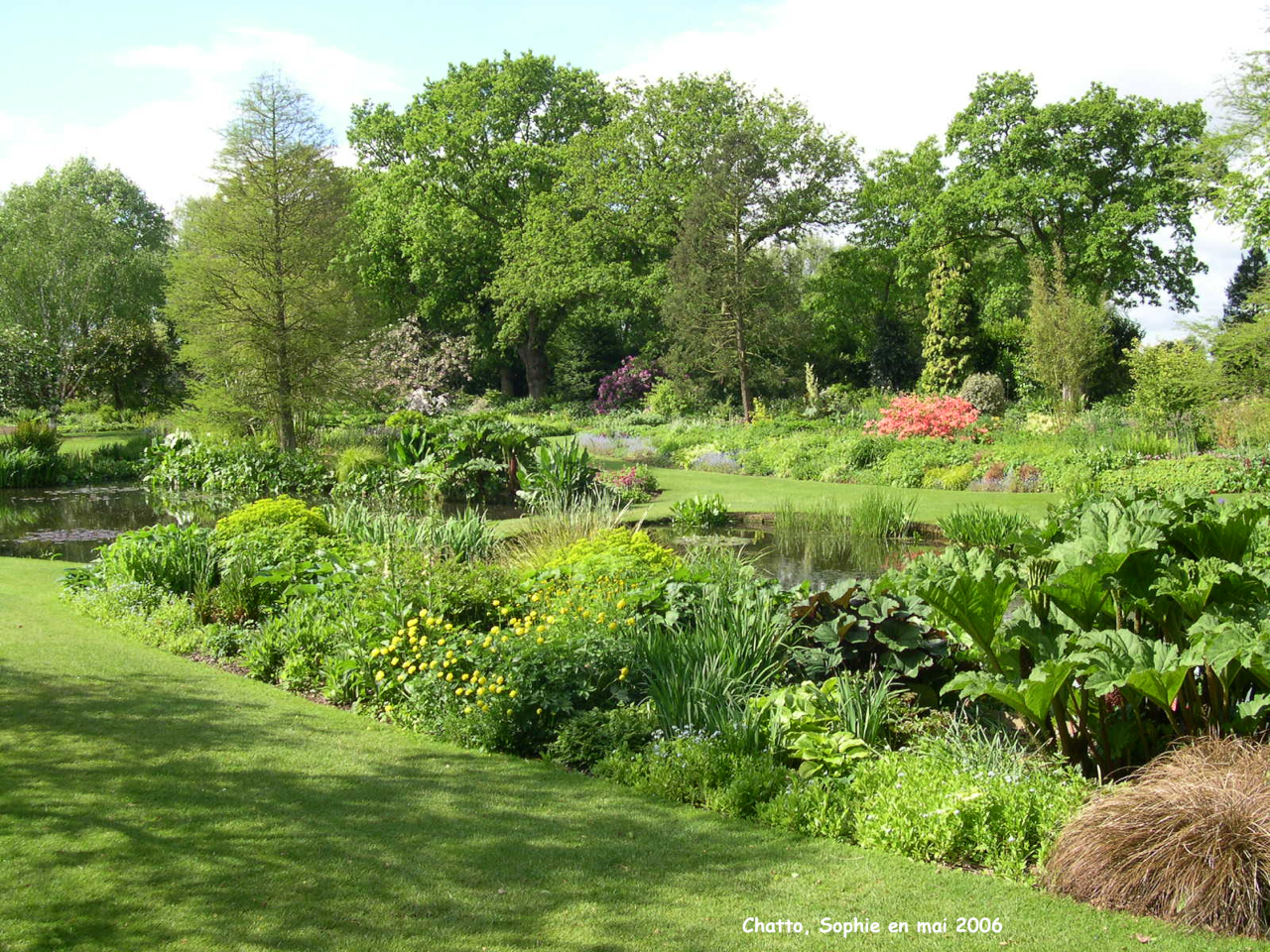 Le jardin d'eau de B. Chatto