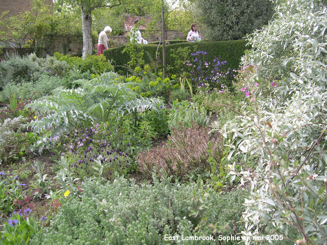 East Lambrook: le jardin gris