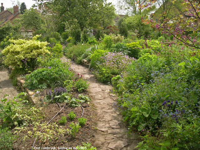 East Lambrook: jardin des terrasses